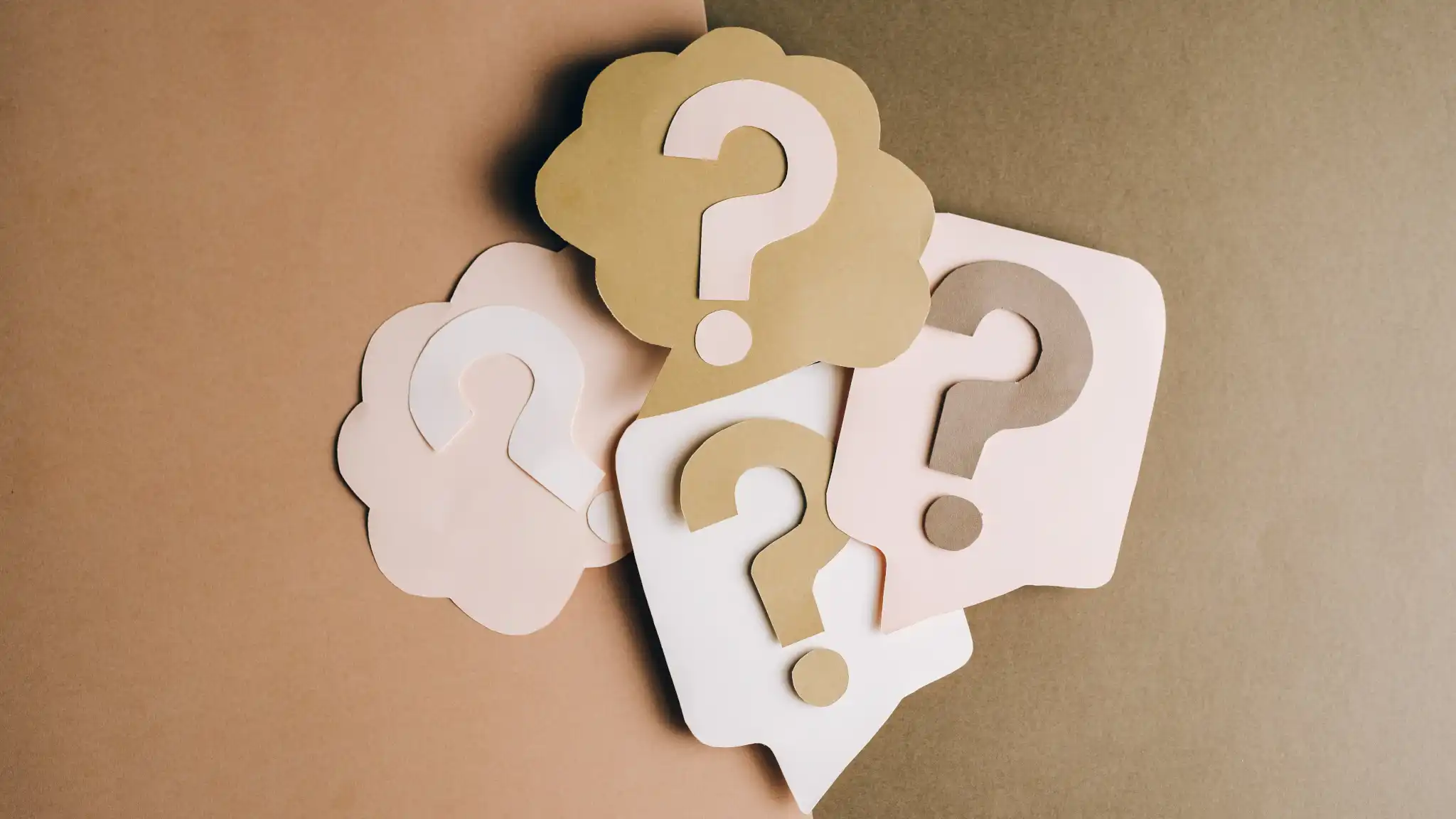 Frequently Asked Questions /faq/faq.webp